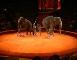 Moscow circus by Andrew Gatt/creative commons
